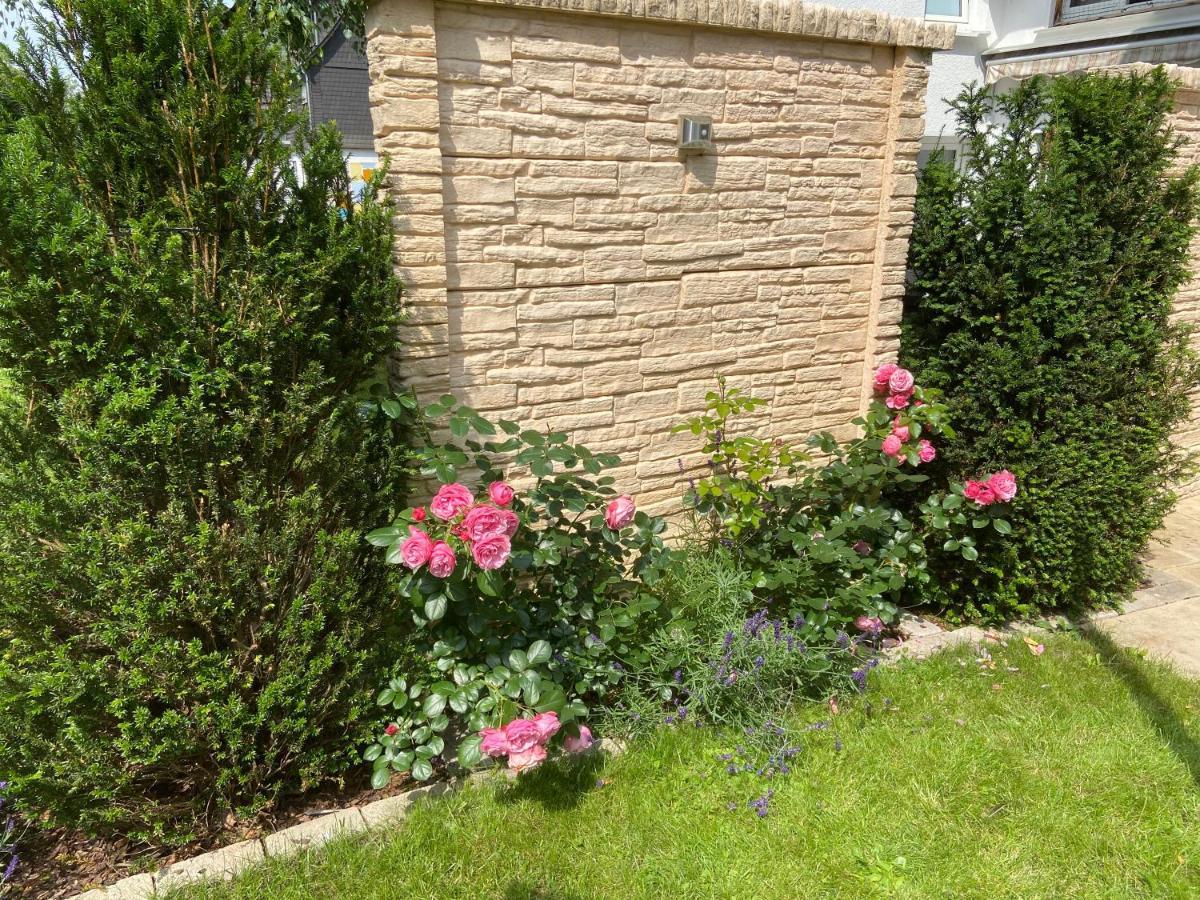 Lieblingsplatz-Winterberg Apartman Kültér fotó